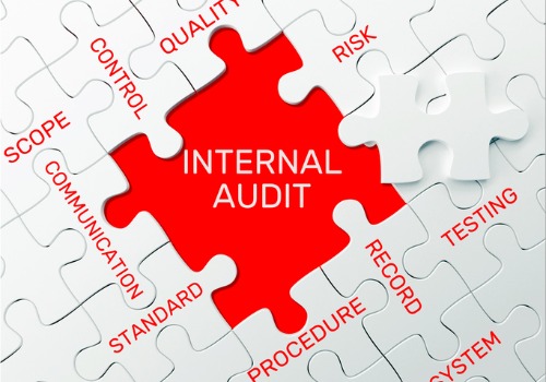 The details of the process for Internal Audits in Peoria Heights IL